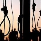 Head of Iranian Judiciary’s Human Rights Council Defends Wave of Executions