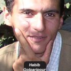 Executed Prisoner Habibollah Golparipour Asked Judicial and Human Rights Officials to Stop His Execution (Audio)