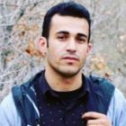 UN Rights Experts Call on Iran to Annul Death Sentence Against Ramin Hossein Panahi