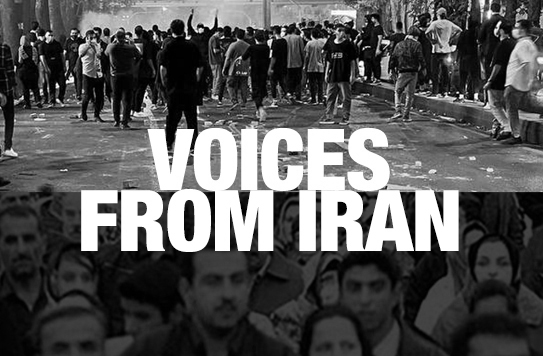 Voices from the Crowd and Political Responses