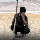 Iran Narrows in on Repressing Farmers’ Protests as Water Crisis Spreads